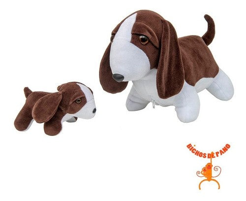 Beagle Grávida Com 1 Filhote