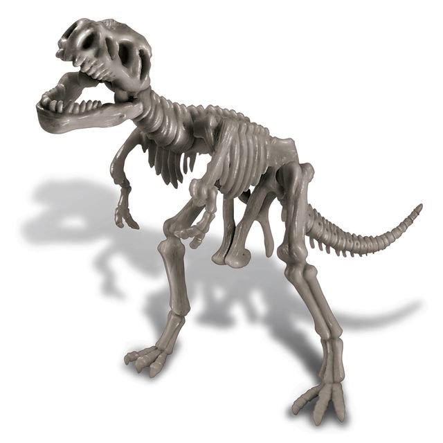Kit de Escavação Tiranossauro Rex
