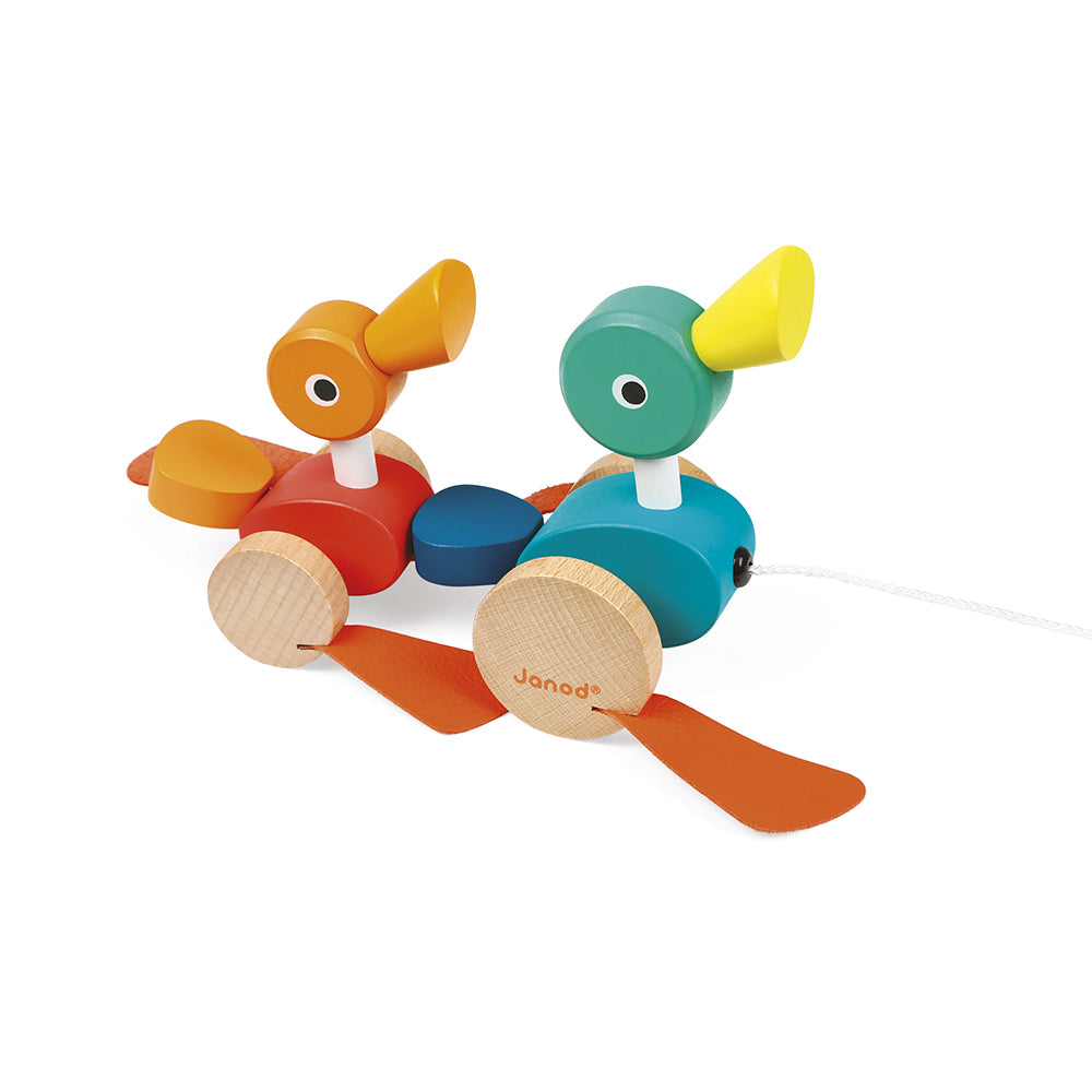 Patos de Passear e Puxar