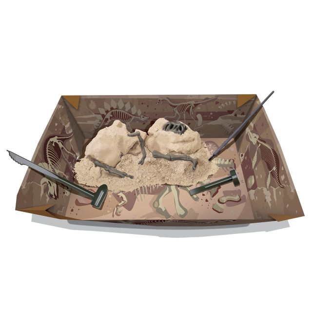 Kit de Escavação Tiranossauro Rex