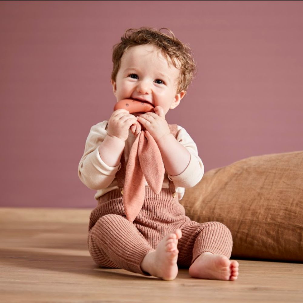 Mordedor Coelho Lapinoo Terracota