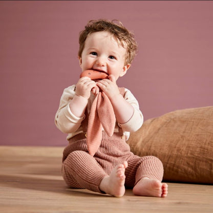 Mordedor Coelho Lapinoo Terracota