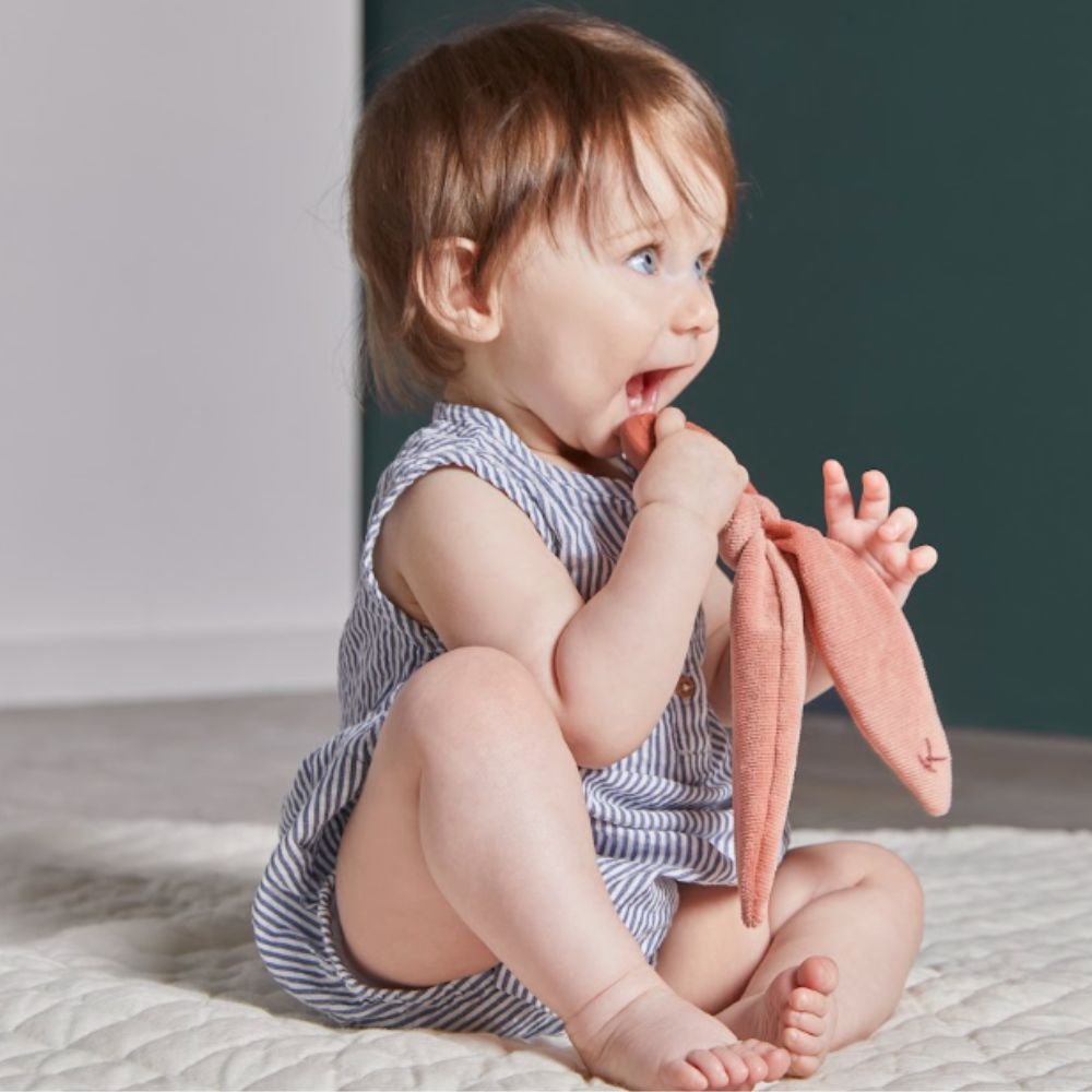 Mordedor Coelho Lapinoo Terracota