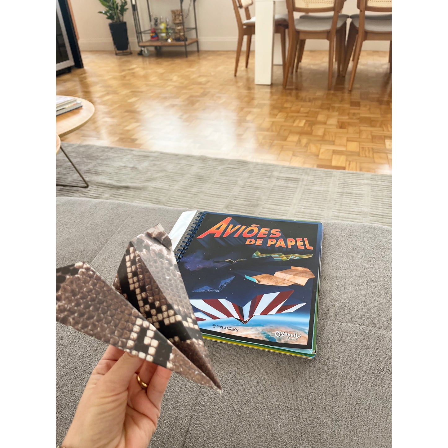 Aviões de Papel – Livro Interativo